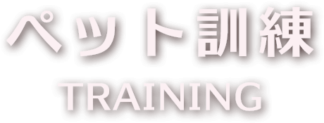 ペット訓練・トレーニング